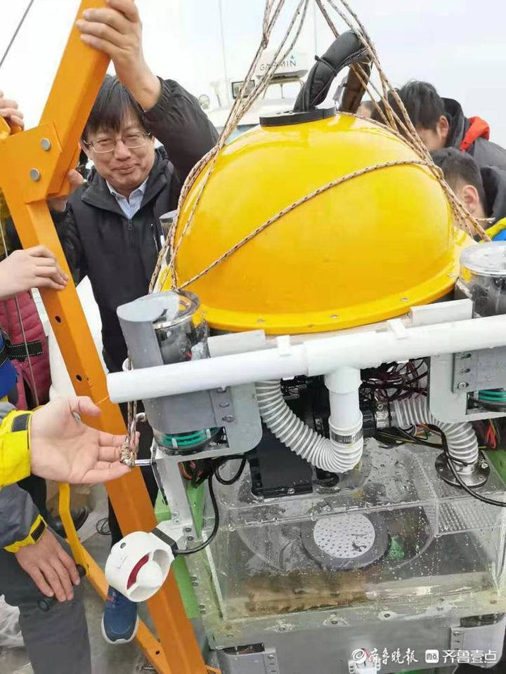 山建教授发明海参捕捞"神器",带人工智能的"章鱼"专门逮海参