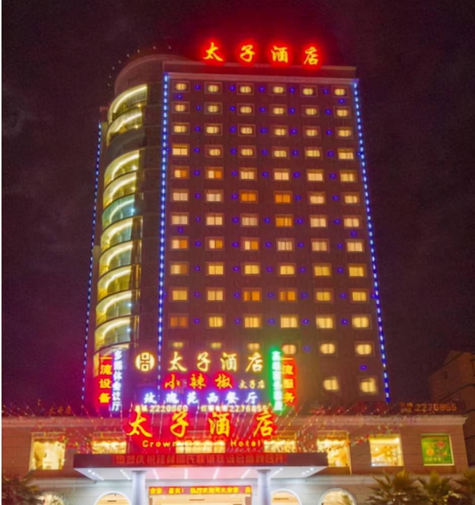 广东东莞太子酒店有限公司董事长太子辉落网记