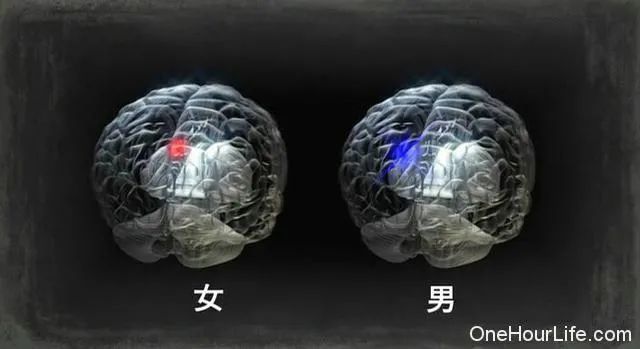大脑中心部位有一种叫多巴胺的脑物质.