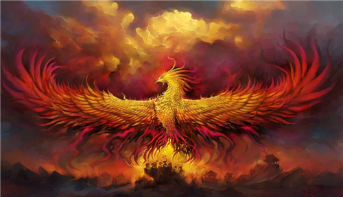 山西老人深山发现怪鸟投喂4年专家这是山海经里的凤凰