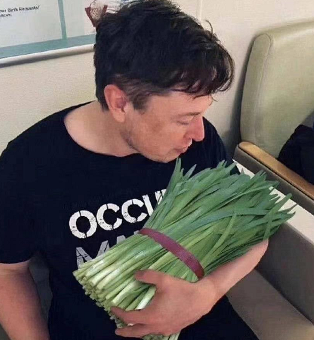 蓝牌特斯拉,原汁原味韭菜王