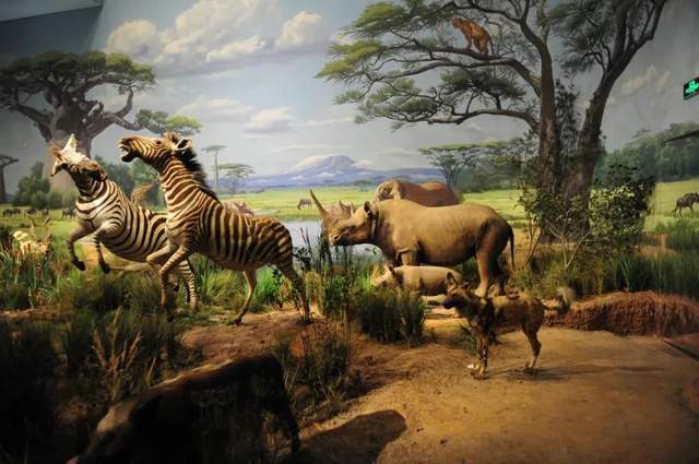 央视也来打卡山东这个博物馆里的宝藏带你踏入蓝色大海聆听远古传说