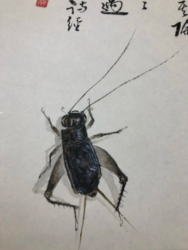 在绘画的过程中,为了表现蟋蟀的真实性,他运用了国画和油画的技巧.