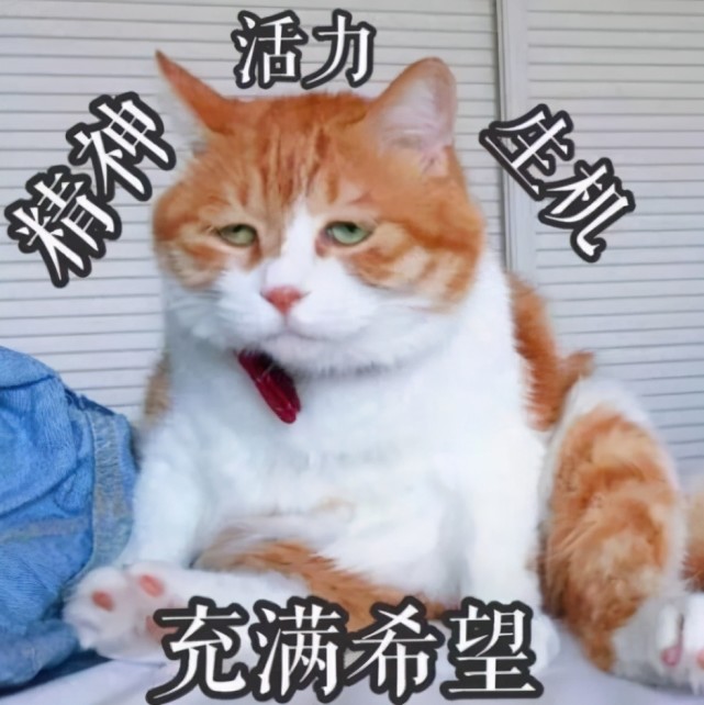 大学禁止学生订外卖这所学校的学生反手就把食堂给骂上了热搜