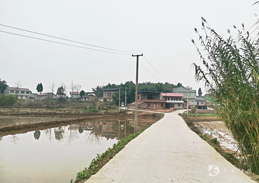 你好石滩村