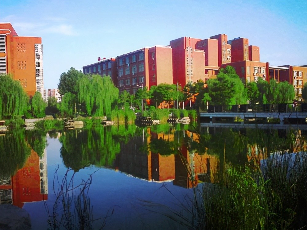 郑州的大学2020排名_2020,郑州大学校友会佳绩频传!