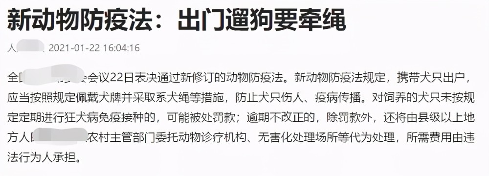 鼻纹识别上线，路遇不文明遛狗扫一扫直接开罚，丢狗找狗也更方便图3