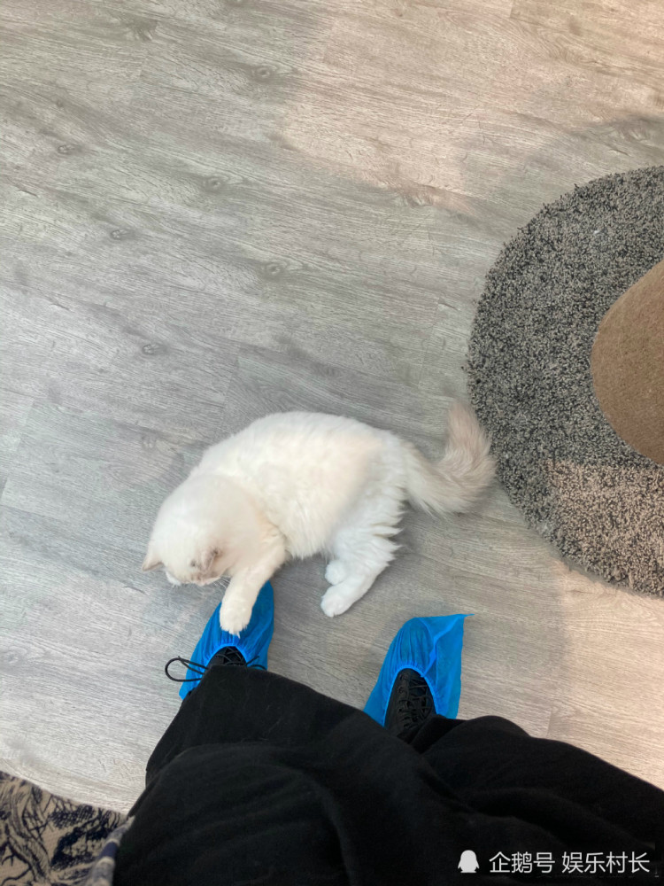 r1se焉栩嘉塌房后小盒鱼首晒美照,侧脸吸睛正脸一般