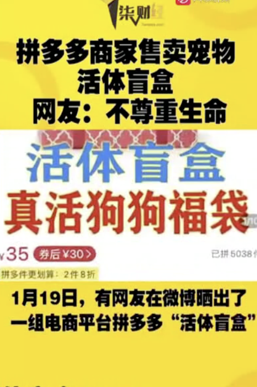 标价诱人网购平台现宠物活体盲盒不能退换还不能给中差评