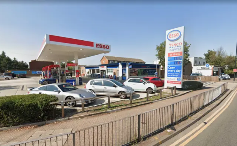 母鸽子出入伦敦超市成常客把吉百利巧克力蛋当孩子守护