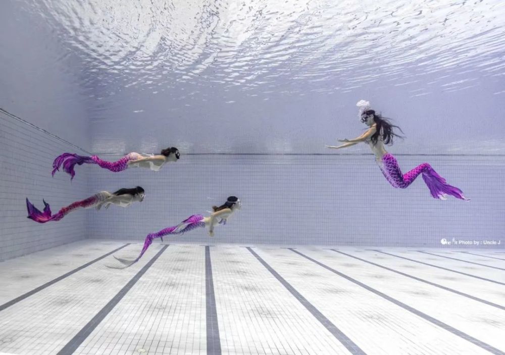 森森|美人鱼教练训练官