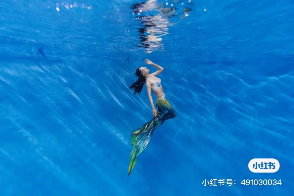 森森|美人鱼教练训练官