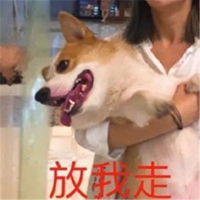 超级沙雕新颖的表情包合集