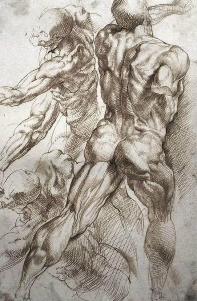 如果你还不了解速写肌肉训练法那绝对不能错过