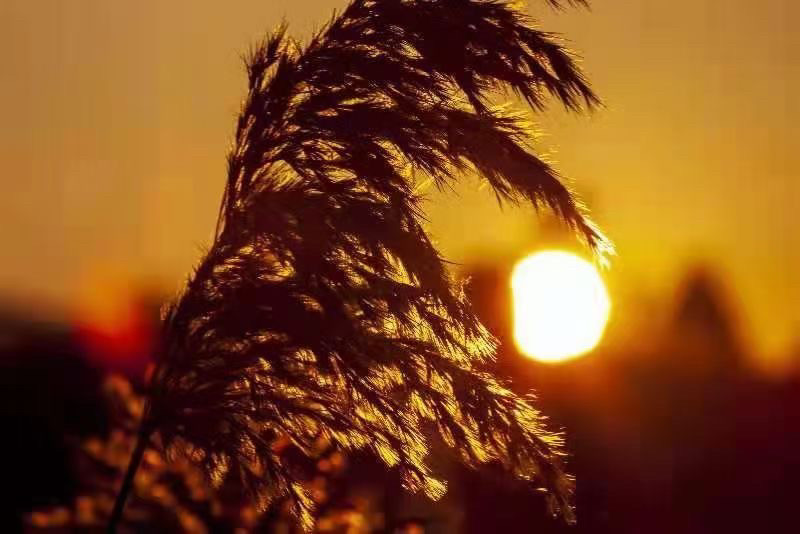 童年里的美好乡村,马郎是呈贡的贫困山区