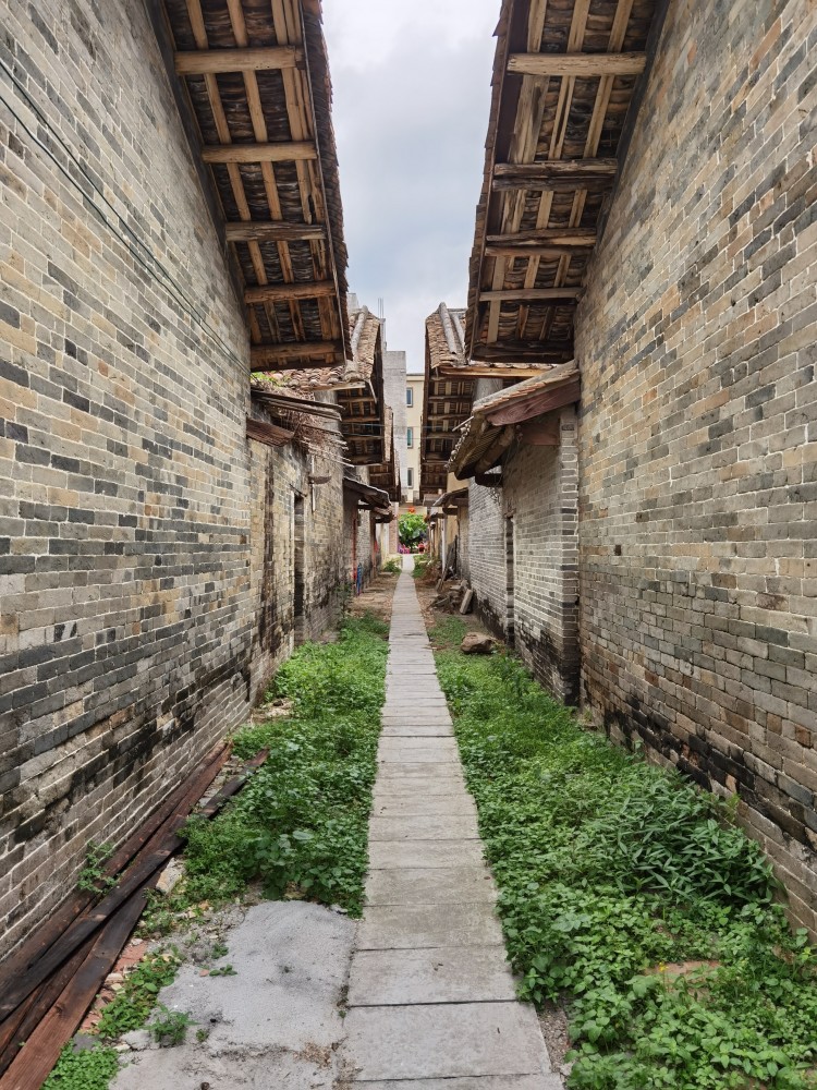 "东风"刮进从化东风村,八百年古村打造北部乡村旅游区门户节点