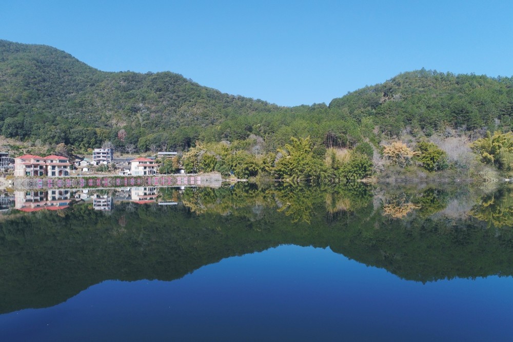 乡村振兴镇能量梅州大埔大东镇布局山水楼全域旅游格局打造生态旅游