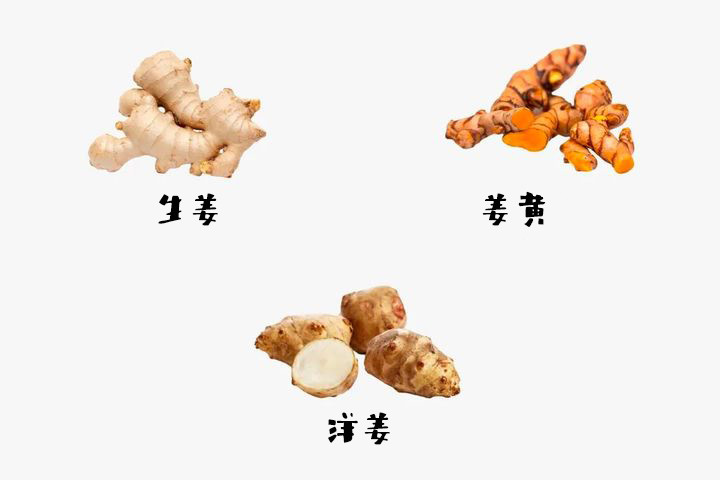生姜洋姜姜黄虽然都叫姜但区别很大一不小心就买错