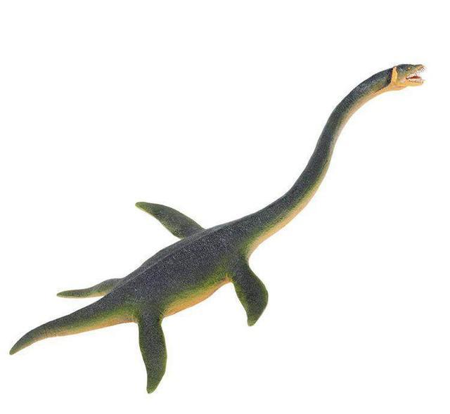 网友目击蛇颈龙!怕我不信还给我发来了实拍照片