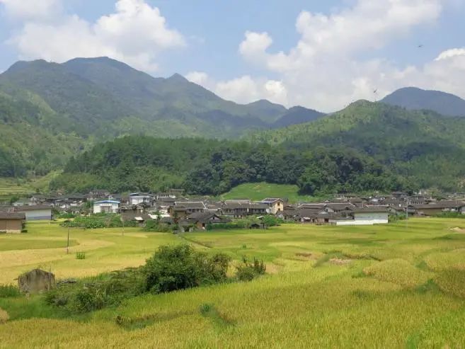 福建省最美休闲乡村龙岩新罗区竹贯村