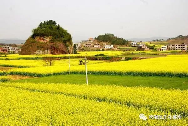 郴州文明城市名單公示!