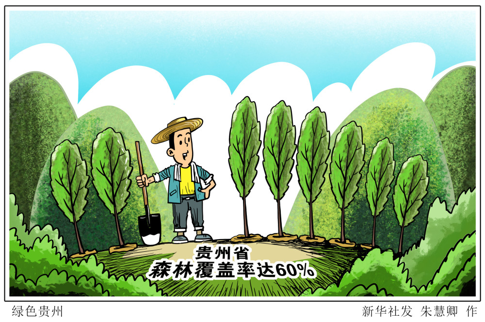 图表漫画环境绿色贵州