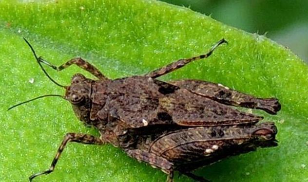 它们到底有什么区别?