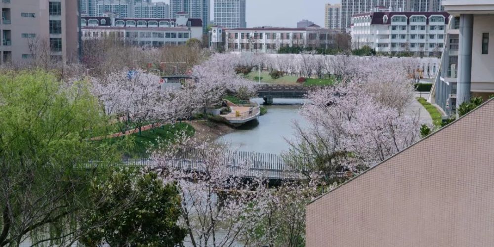 目不暇接(請把手機橫過來)花園校園 四時美景閔行校區中山北路校區一