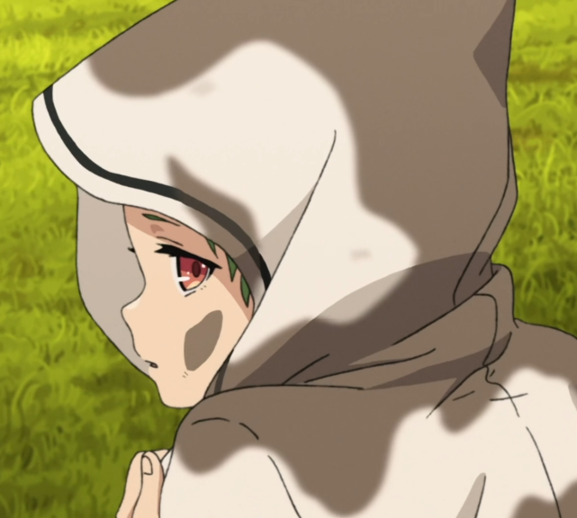 就如男主的吐槽一般,这位希露菲叶特的身世不是一