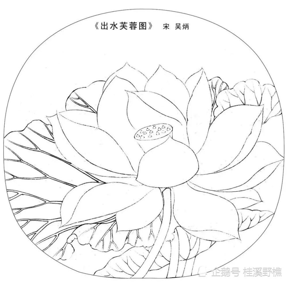 初学者怎么画花卉扇面从线条到造型教你画简单易学收藏临摹
