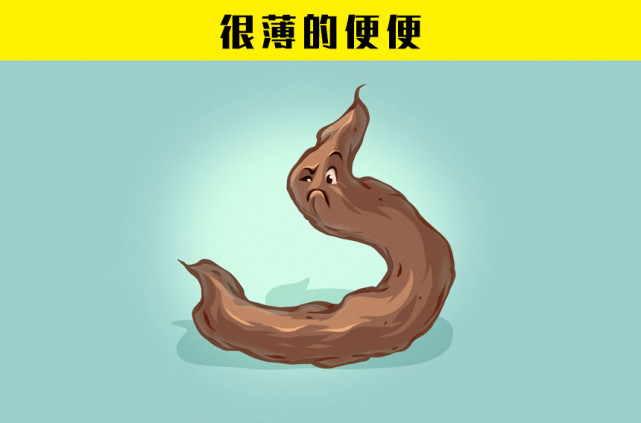 根据宠物的便便可以判断的11个健康问题