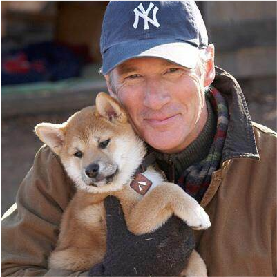 电影推荐|忠犬八公的故事_腾讯新闻