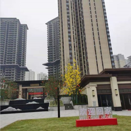 未完成塑料厂整体搬迁和土壤评估便交房重庆蓝光公园华府被质疑违规