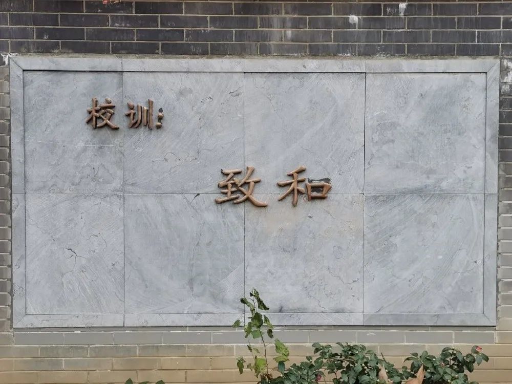每日校训丨南京市长江路小学致和