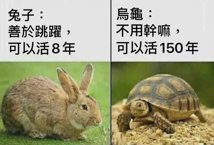 6,生命在于静止5,狗:我就是这么叛逆4,输入法:我早想骂你了3,汪峰上热