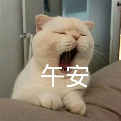 表情包午安吖