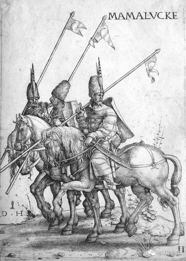 非洲突厥人,成功夺取国家政权|奴隶|突厥人|马穆鲁克|阿尤布王朝|十字