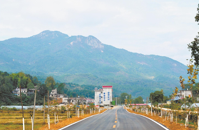 罗田县凤山镇人大第四代表小组呼吁推动公路升级让乡亲开怀冬日暖阳下