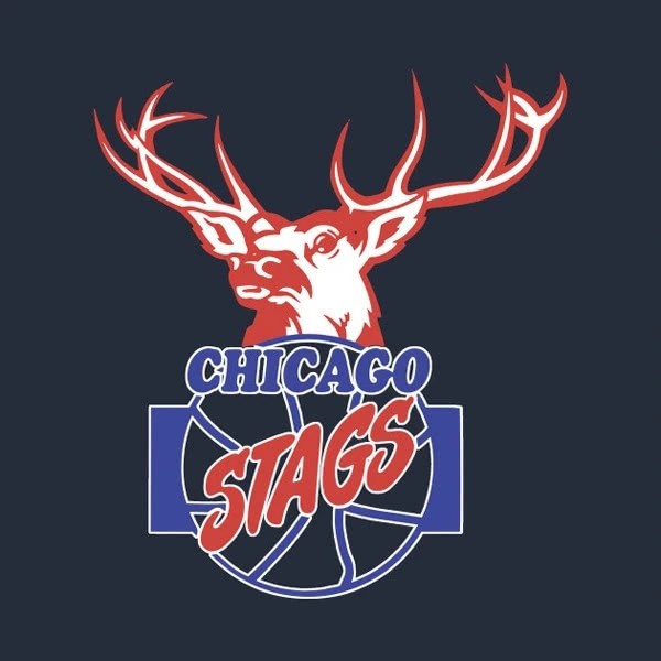 nba最可惜的3支解散球队,都是劲旅,榜首还夺下过总冠军