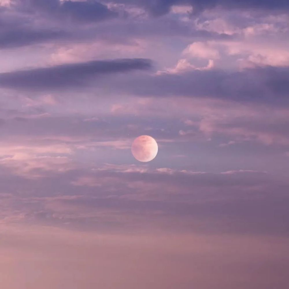 背景图白月光和朱砂痣