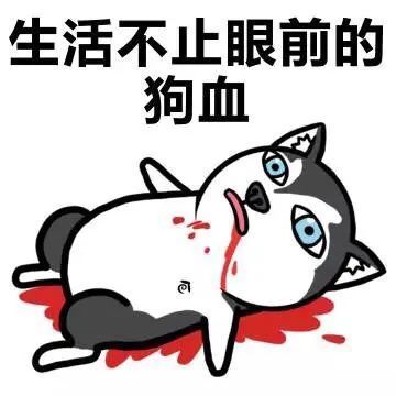 表情包:生活不止眼前的狗血._腾讯新闻