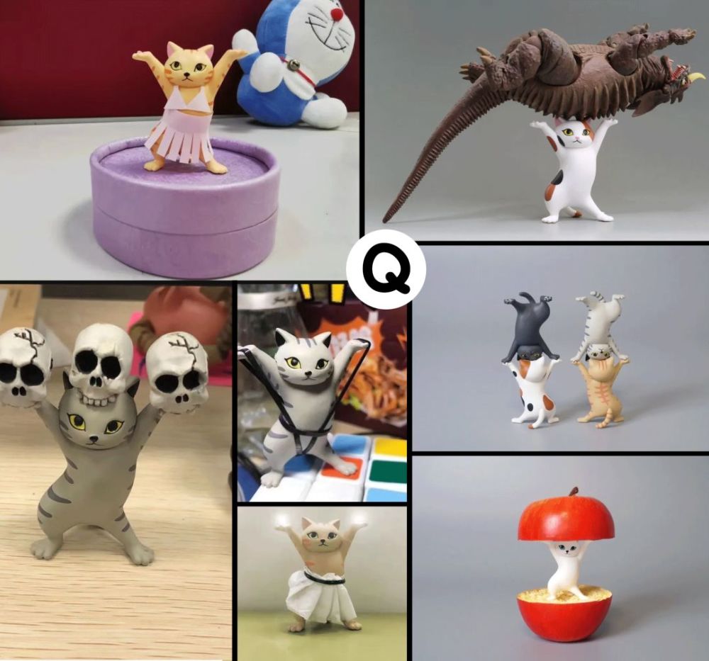 挑战全网最火的妖娆猫,第三弹长毛和垂耳妖娆猫申请出战!