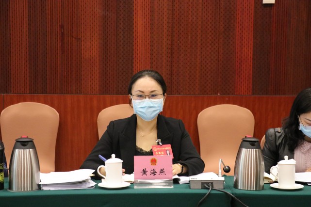省人大代表黄海燕:保护利用南粤古驿道带动文旅发展
