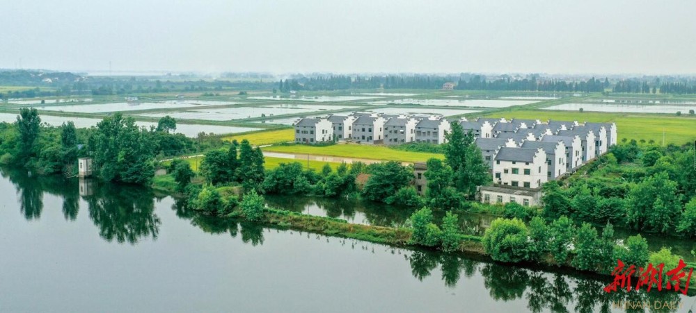 风吹碧野万象新