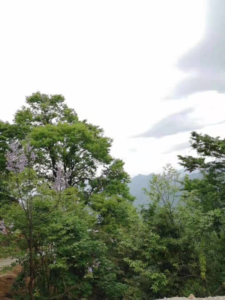 旅游在吉安:峰峦娟美,景色迷人的井冈山鹅岭