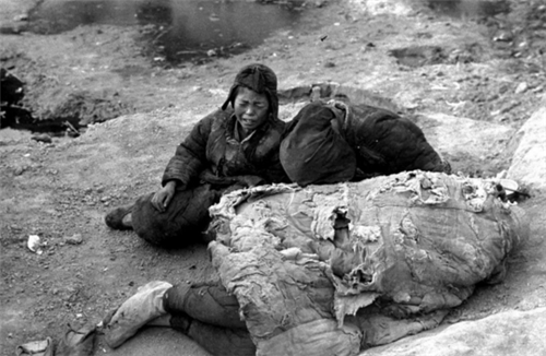 1942年河南饥荒10斤小米换个老婆易子而食人命只值几个红薯