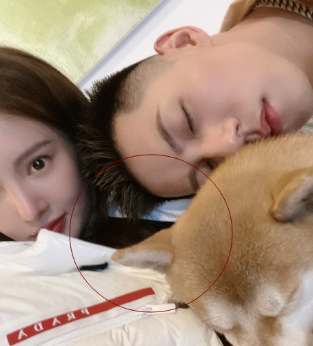 金晨卡斯柏晒合照两人的举动完全像在热恋中评论区一片恭喜