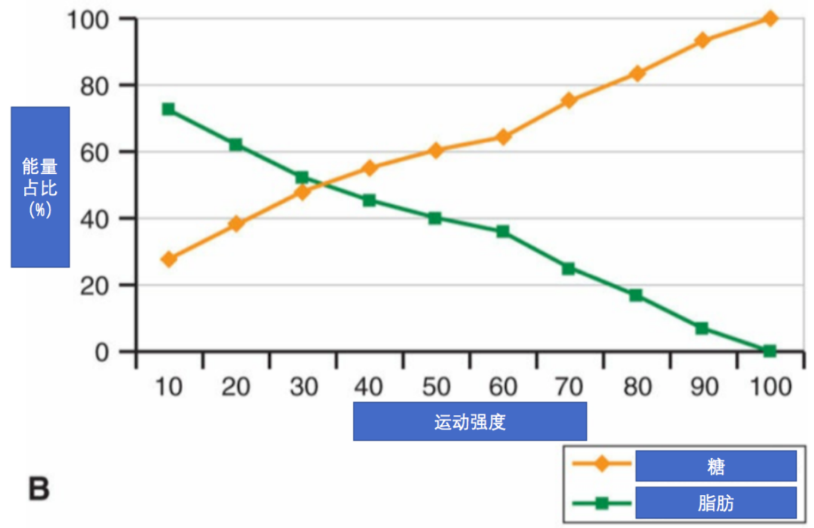 锻炼时心率保持在这个范围想不瘦都难