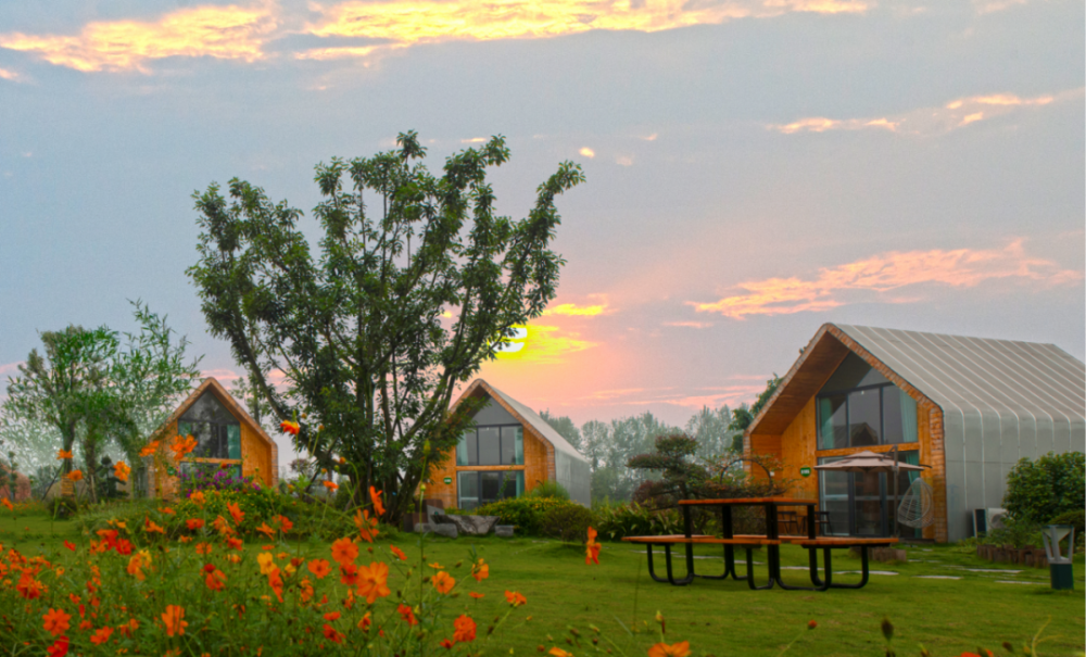 成都新津共享农庄