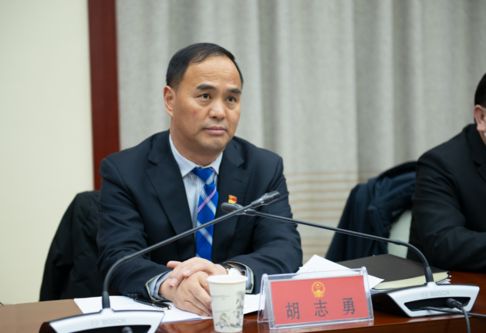 胡志勇参加人大,政协分团分组审议讨论